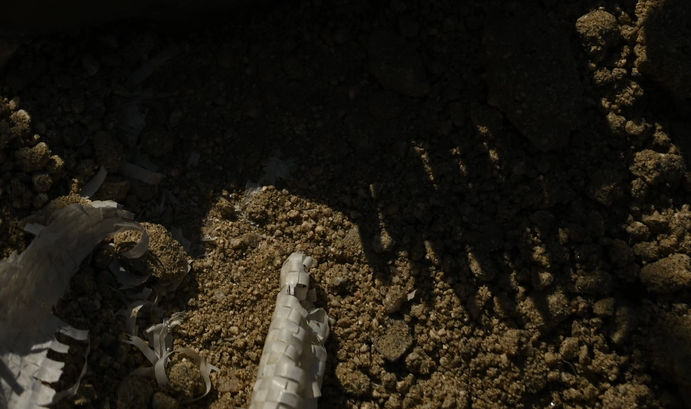 Momentary Object - Obj Img